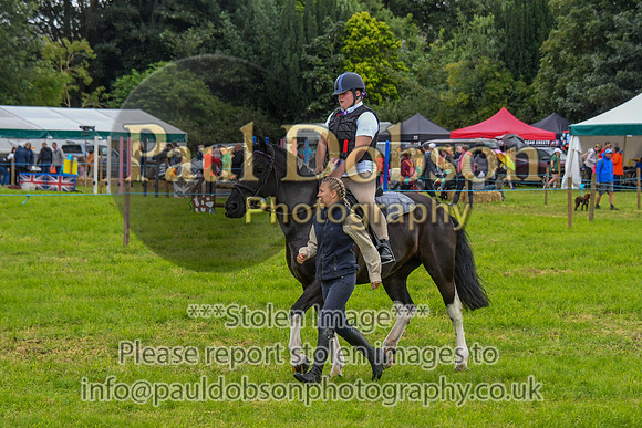 IHC_0944