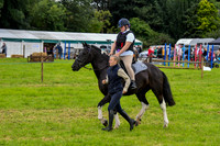 IHC_0945