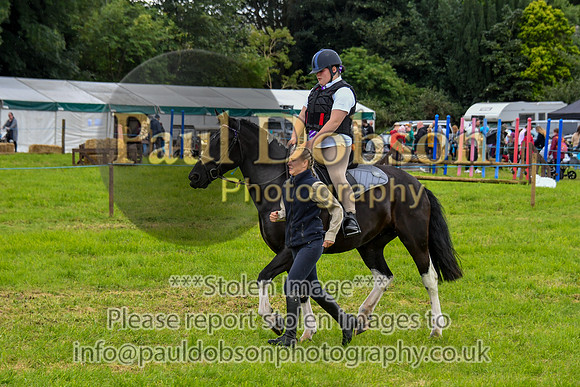 IHC_0945