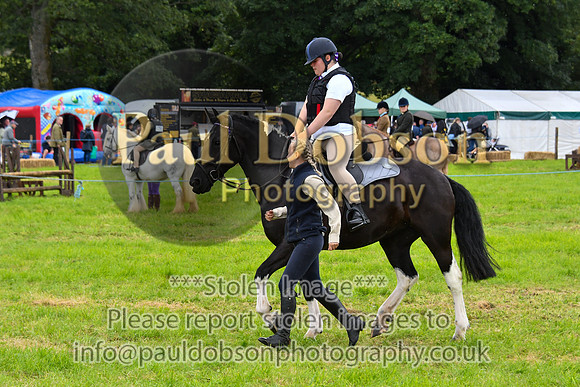 IHC_0947