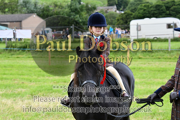 IHC_0951
