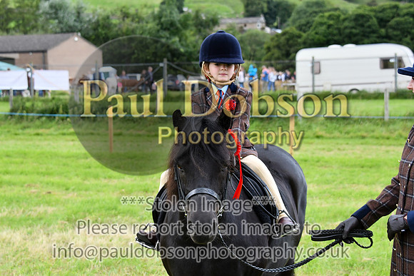 IHC_0952