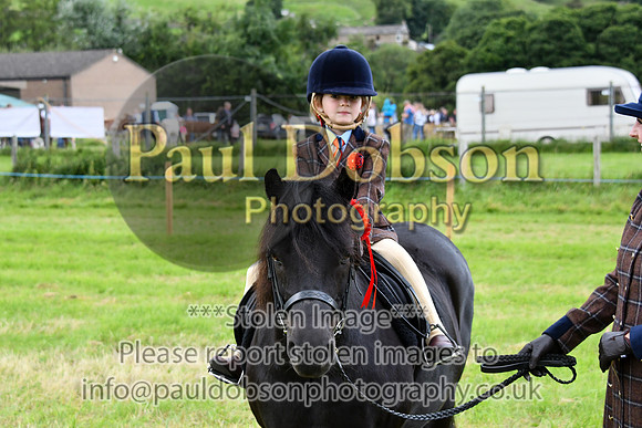 IHC_0953