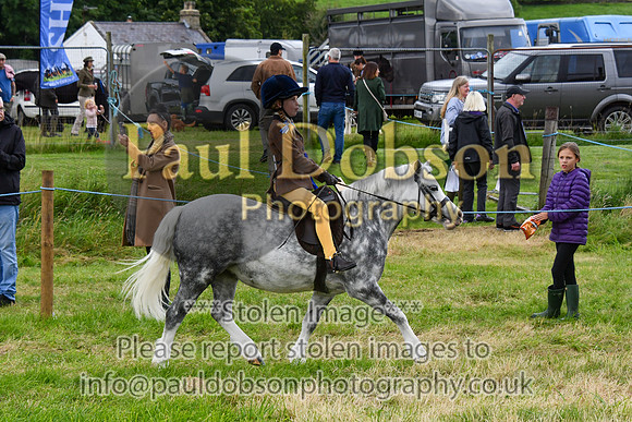 IHC_0987