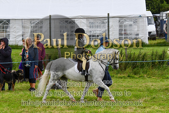 IHC_0989