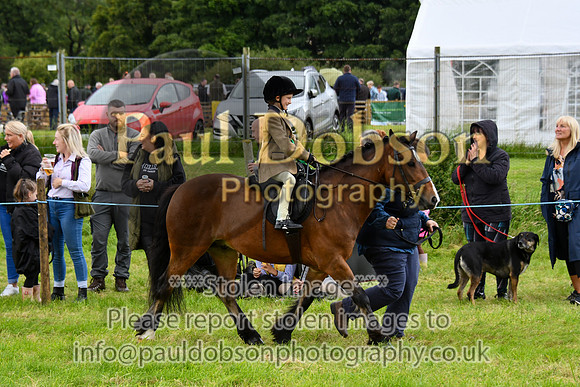 IHC_0991