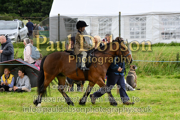 IHC_0992