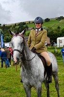 C020 Novice Horse or pony