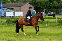 C025 Sports Horse
