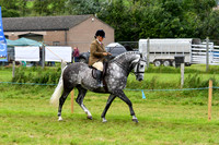 C026 Retrained Racehorse