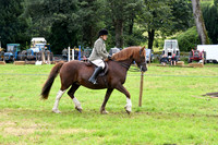 C027 Veteran