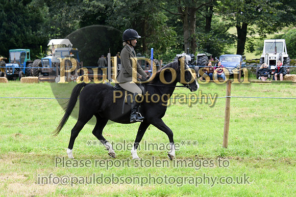 027_1717