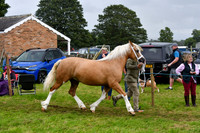 IHC_0878