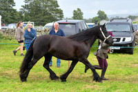 IHC_0885