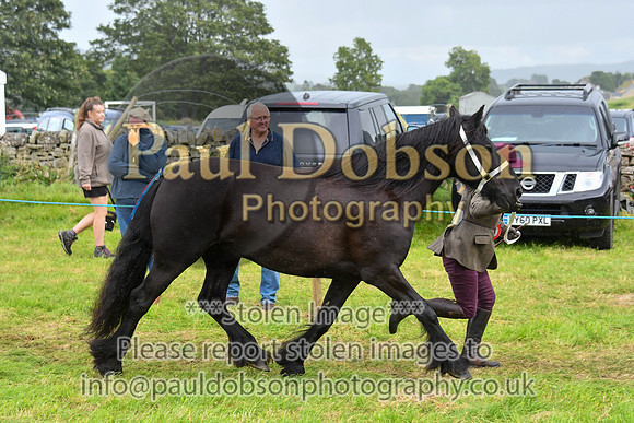 IHC_0885
