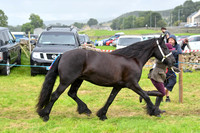 IHC_0886