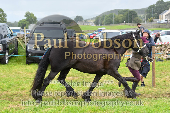 IHC_0886