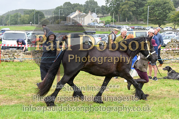 IHC_0887