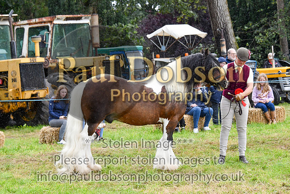 IHC_0899