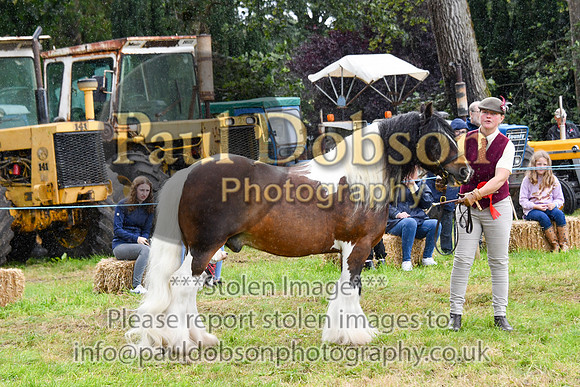 IHC_0901