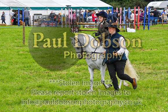 IHC_0926