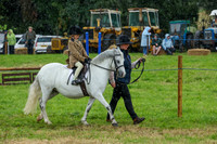 MMRD5834