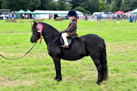 16C_0497