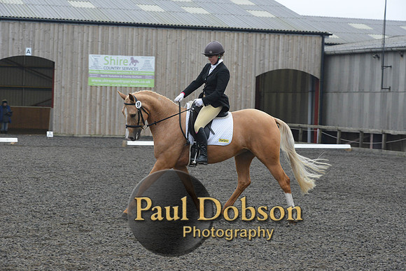 dressage-5760