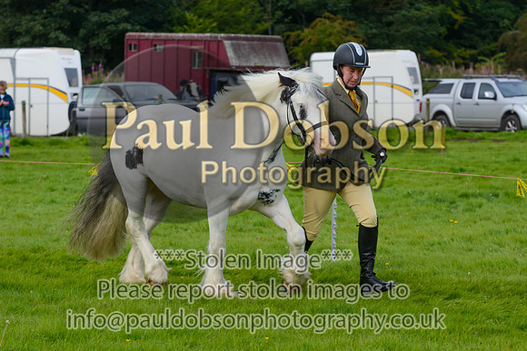 017_3325