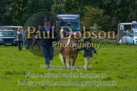 035_3986