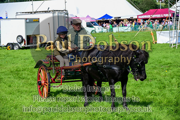 JDR_7074