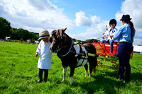 JDR_7084