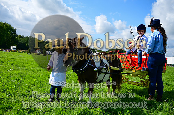 JDR_7085