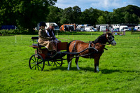 JDR_7093