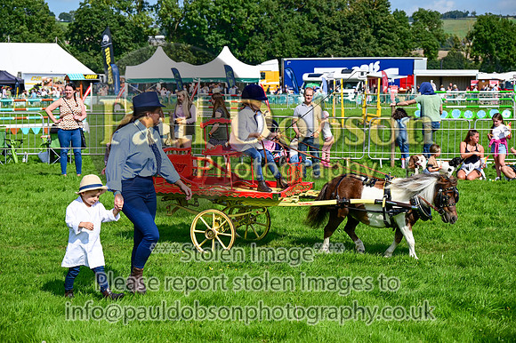 JDR_7095