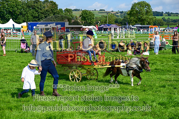 JDR_7096
