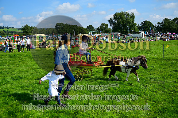 JDR_7097