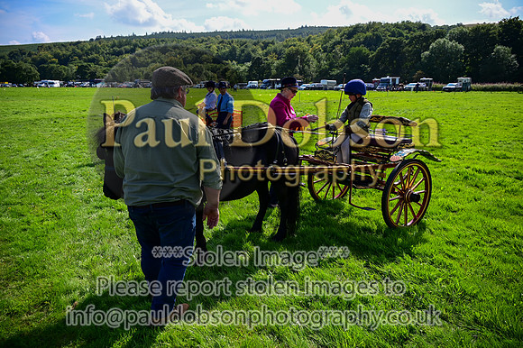 JDR_7120