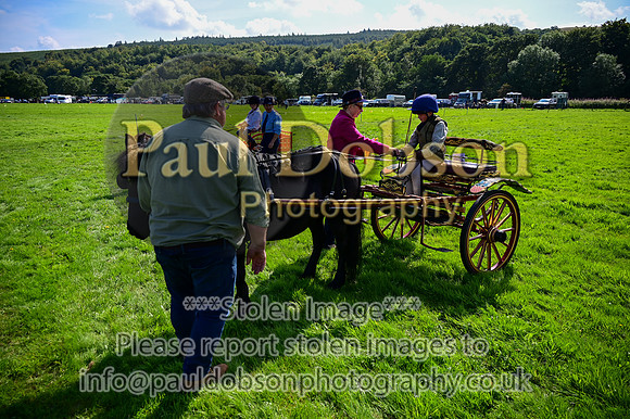 JDR_7121