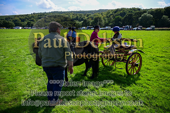 JDR_7123