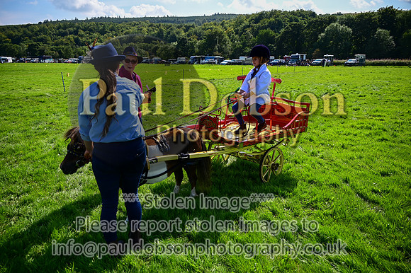 JDR_7126