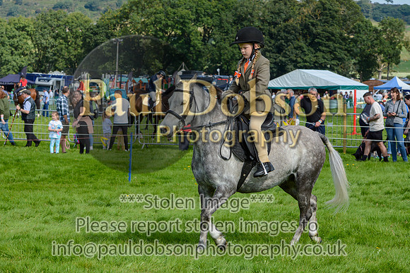 008_3927