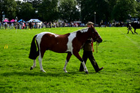 CHH_6587