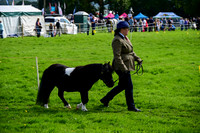 CHH_6590