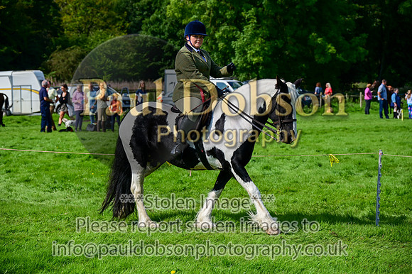 CHR_6617