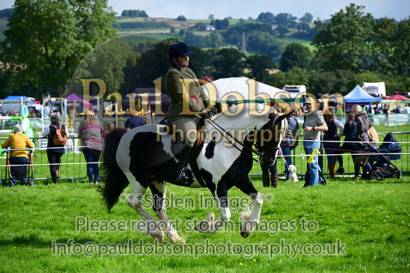 CHR_6621