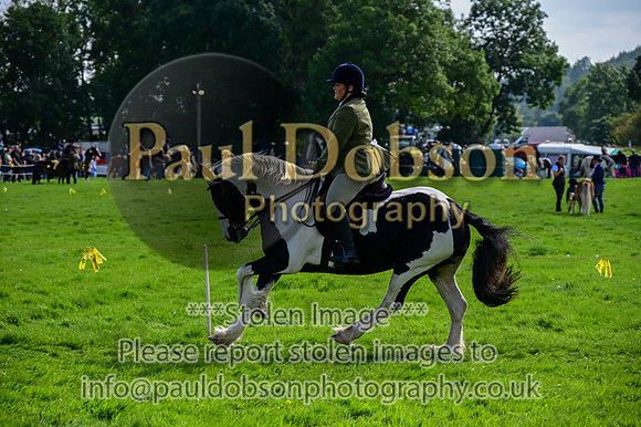 CHR_6627