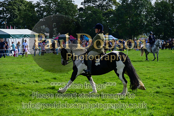 CHR_6628