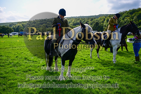 CHR_6645