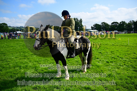 CHR_6648